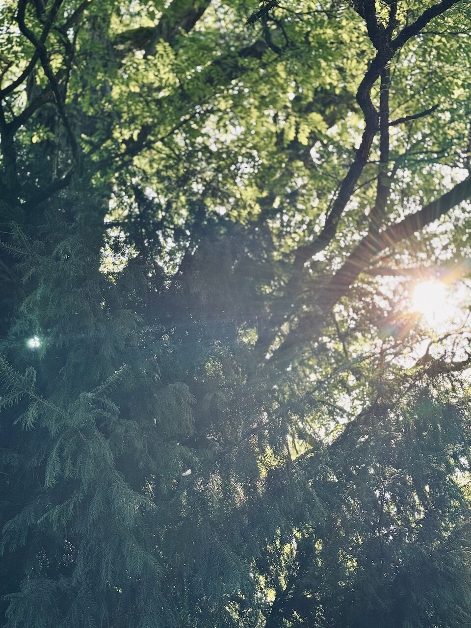 Wiesenhaus Impression 1