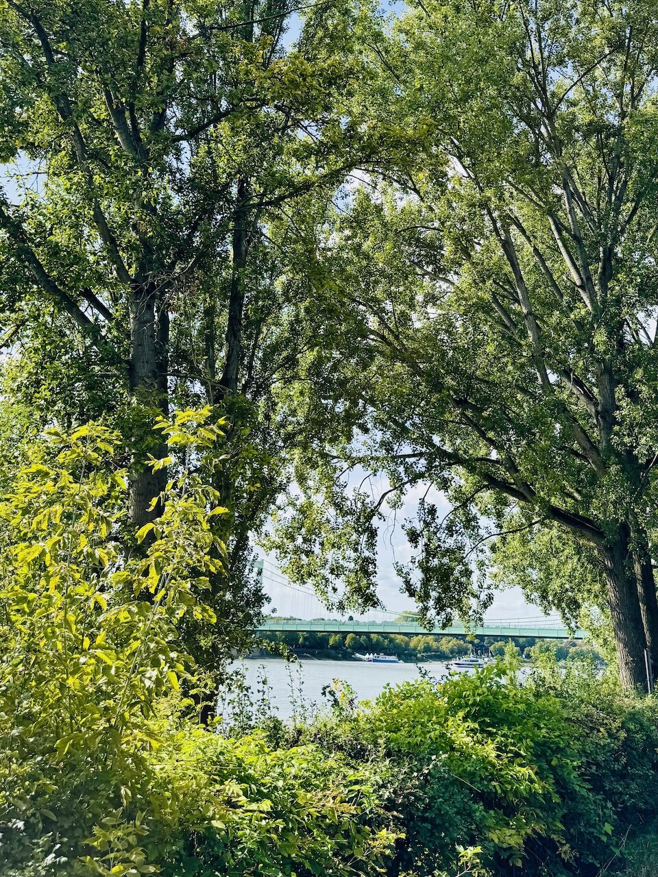 Wiesenhaus Impression 4