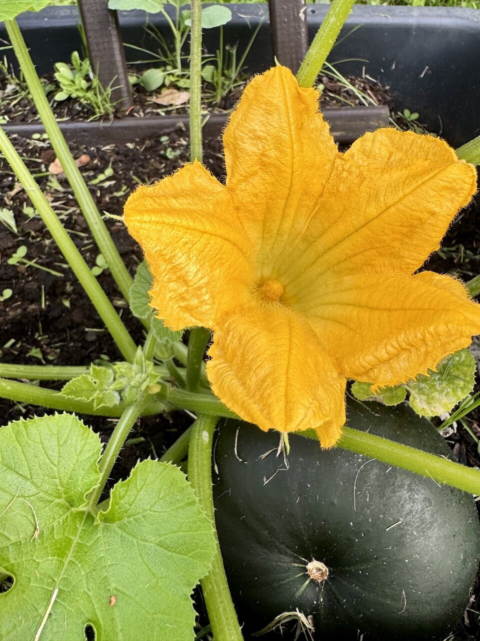 Wiesenhaus Impression 5